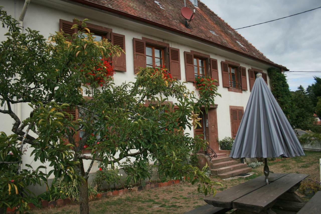 Maison D'Alsace Breitenbach-Haut-Rhin Экстерьер фото